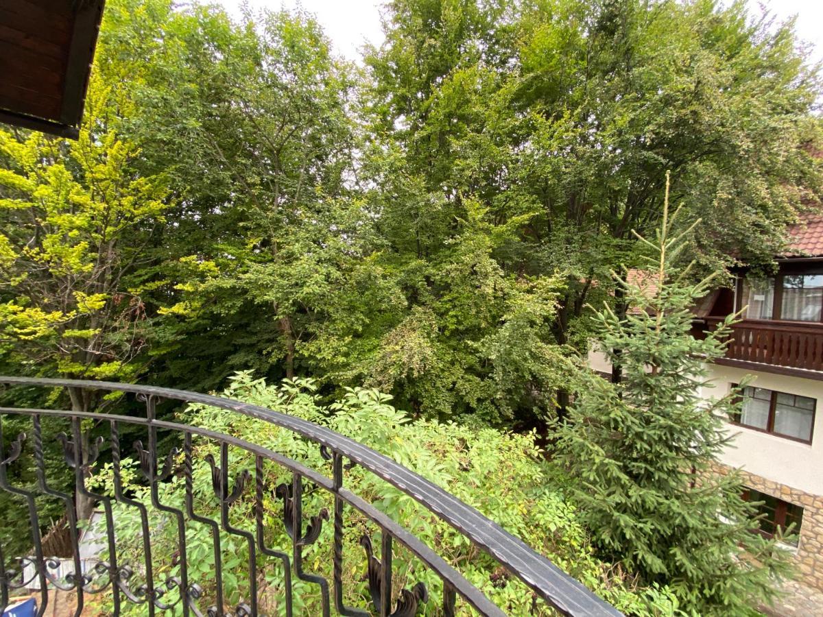 Pensiunea Crocus - Sauna & Billiard Poiana Brașov Exterior foto
