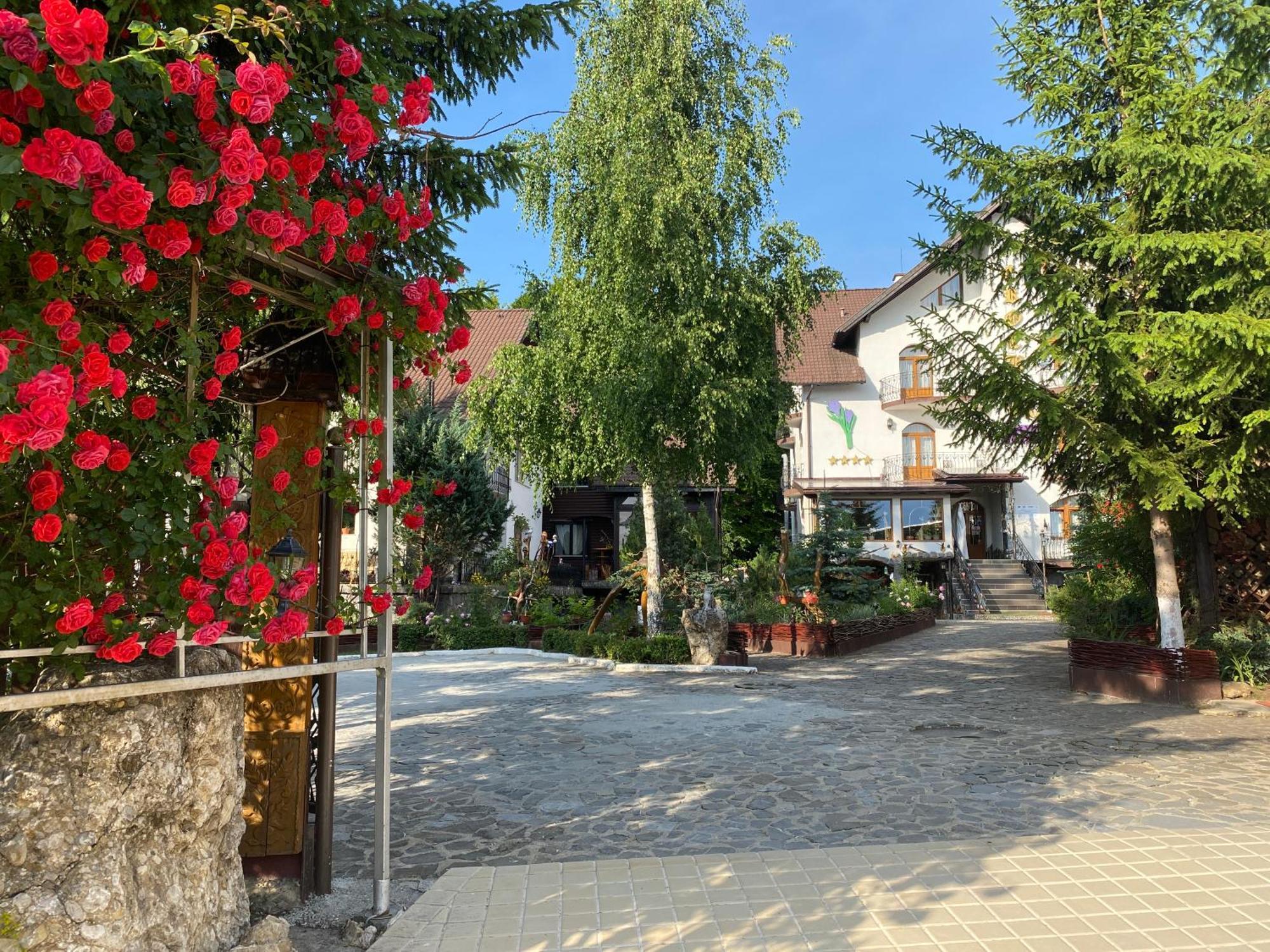 Pensiunea Crocus - Sauna & Billiard Poiana Brașov Exterior foto