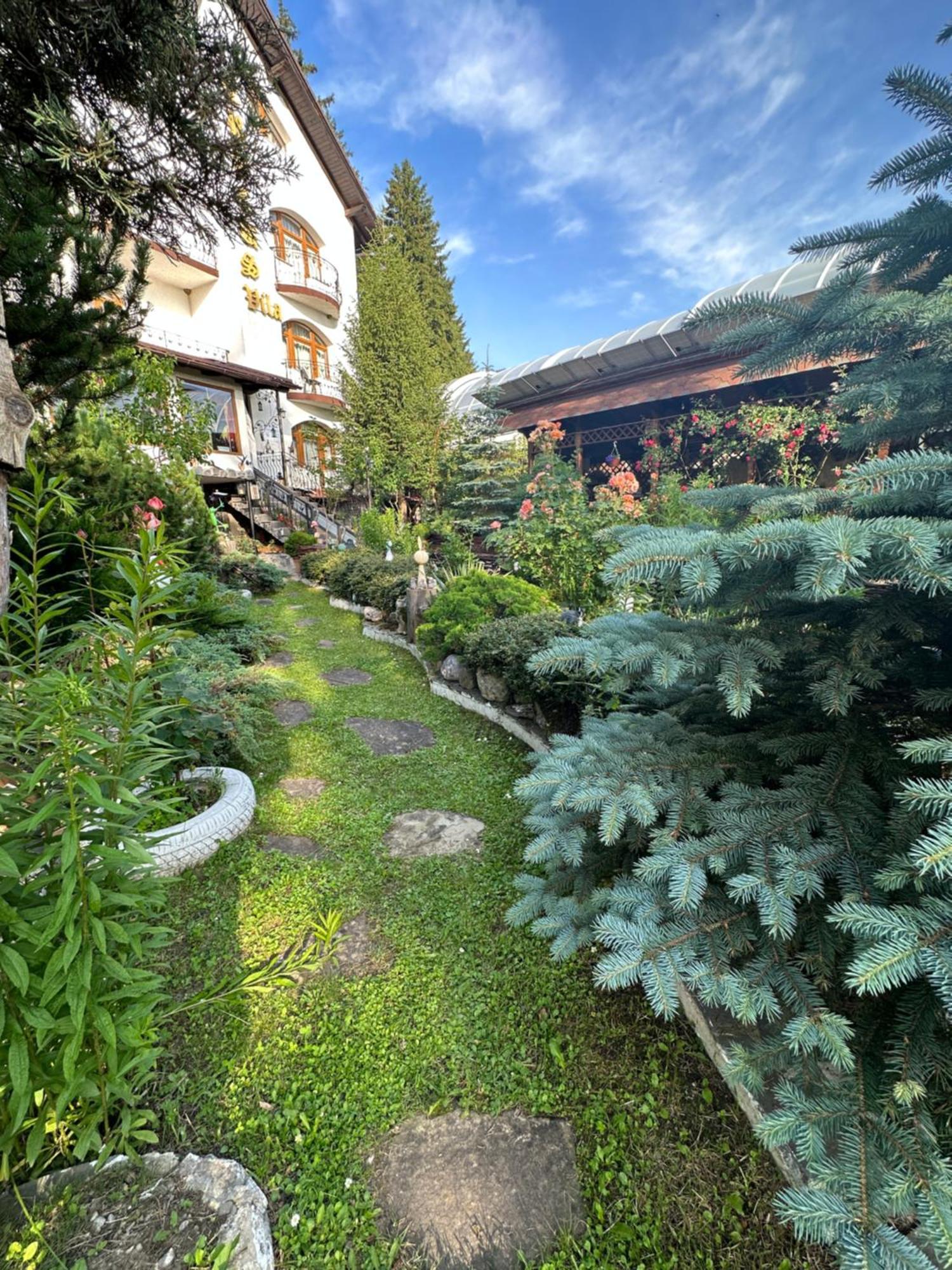 Pensiunea Crocus - Sauna & Billiard Poiana Brașov Exterior foto