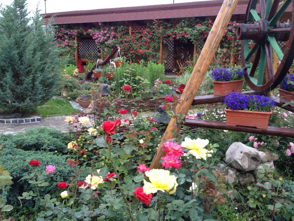 Pensiunea Crocus - Sauna & Billiard Poiana Brașov Exterior foto